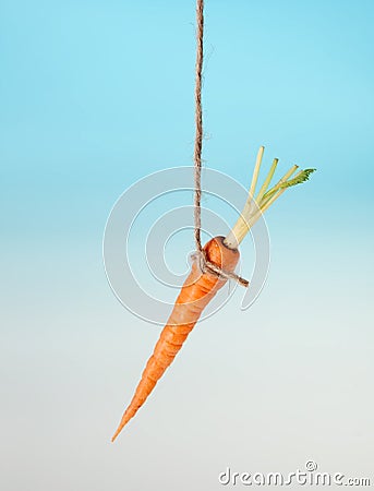 Carrot bait on a string Stock Photo