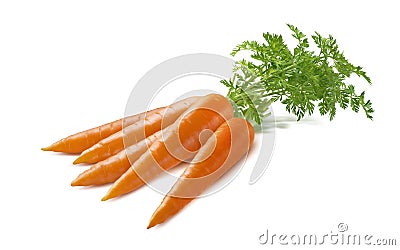 Carrot bunch isolated on white background Stock Photo