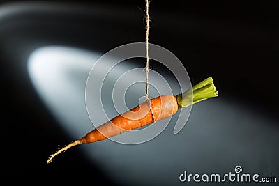 Carrot Stock Photo