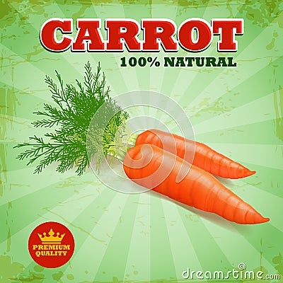 Carrot Vector Illustration