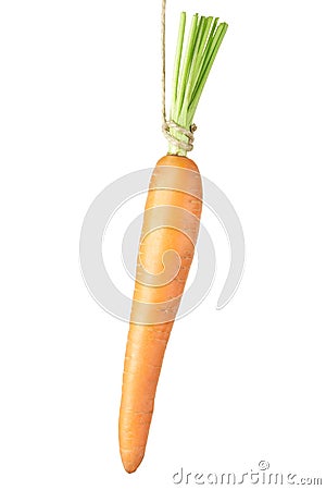 Carrot dangling on white Stock Photo