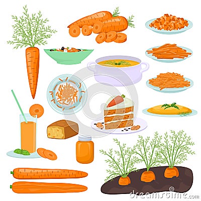 Carrot food products vector illustration. Dishes prepared from carrots, carrot cake, pie, soup, salad and juice. Carrots Vector Illustration