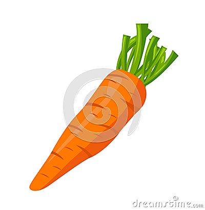 Carrot icon vector illustration Vector Illustration