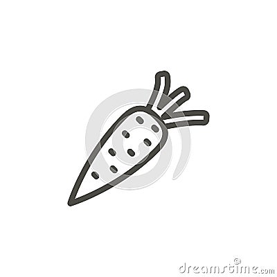 Carrot icon vector. Outline healthy food, line carrot symbol. Vector Illustration
