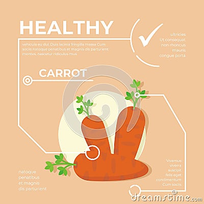 Carrot infographic vector Design, fresh vegetable Cartoon Illustration