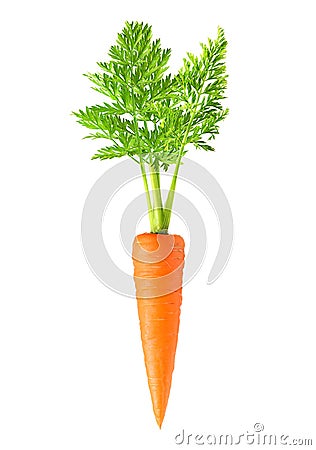 Carrot isolated Stock Photo