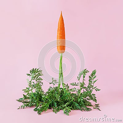 Carrot launches like a rocket on pink background. Stock Photo