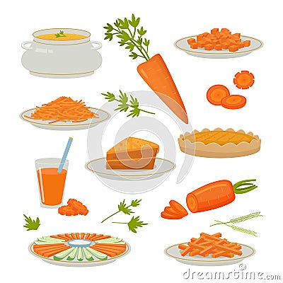 carrot products. sliced natural healthy orange color vegetables with carotene. Vector pictures of carrot juice and Vector Illustration