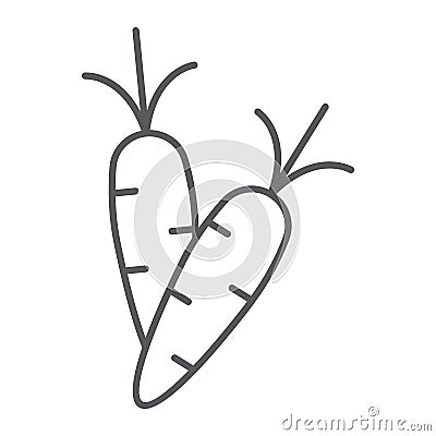 Carrot thin line icon, vegetable and food, root sign, vector graphics, a linear pattern on a white background. Vector Illustration