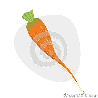 Carrot. Vector illustration. Vector Illustration