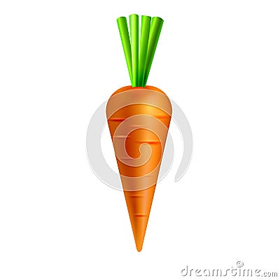 Carrot on white background Vector Illustration