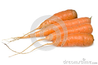 Carrots Stock Photo
