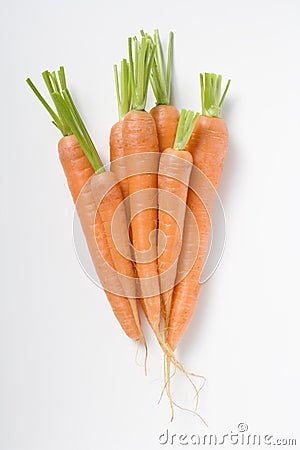 Carrots Stock Photo