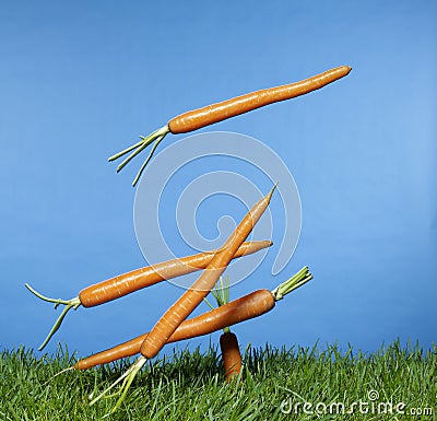 Carrots Stock Photo