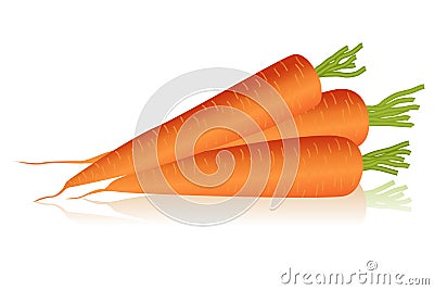 Carrots Vector Illustration