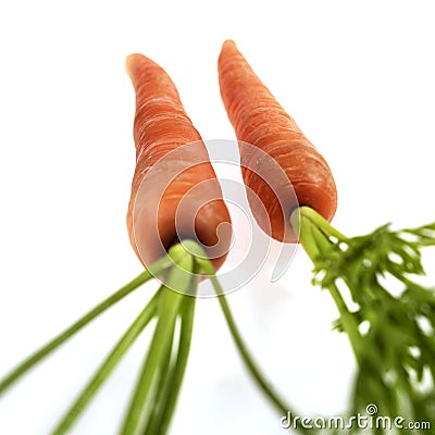 Carrots, daucus carota, Vegetables against White Background Stock Photo