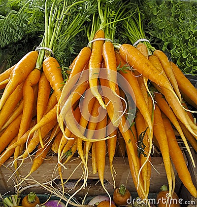 Carrots at Farmers Market Stock Photo
