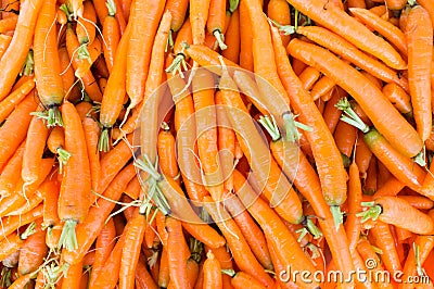 Carrots Stock Photo