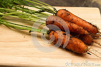 Carrots Stock Photo