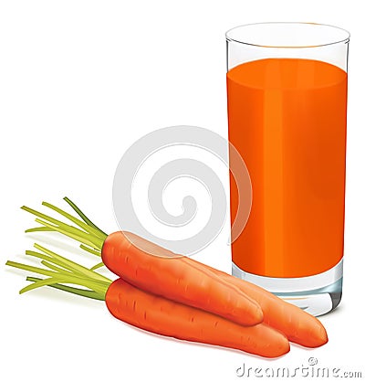 Carrots and glass of fresh carrots juice on white background. Vector Illustration