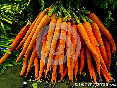 Carrots Stock Photo