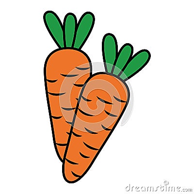 carrots vegetable fresh Cartoon Illustration