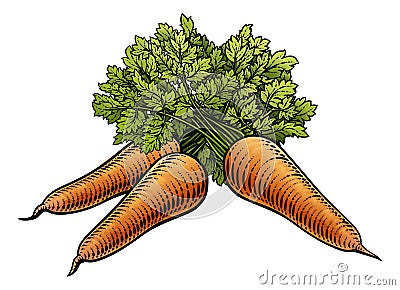 Carrots Vegetable Vintage Woodcut Illustration Vector Illustration