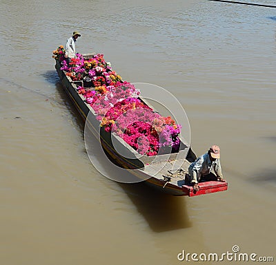 Carrying Bougainvillea flowers by boat in Tien Giang, Vietnam Editorial Stock Photo