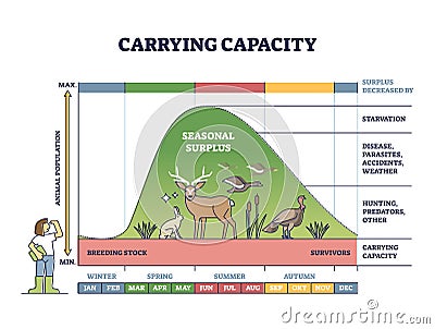 Carrying capacity as reproduction level with seasonal surplus outline diagram Vector Illustration