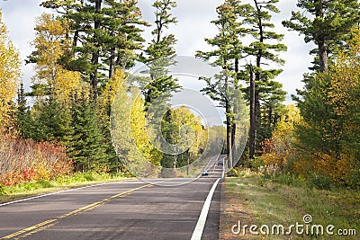 Cars on the Gunflint Trail among tall pines and autumn color Stock Photo