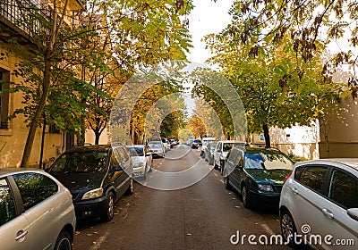 cars parked on a tree lined street outside a home in fall Editorial Stock Photo