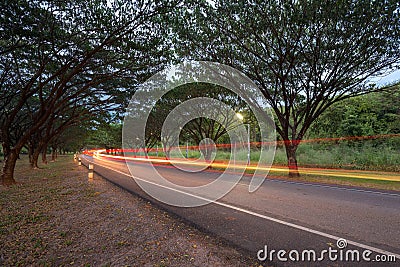 Cars pass on a country road running through with Samanea saman o Stock Photo