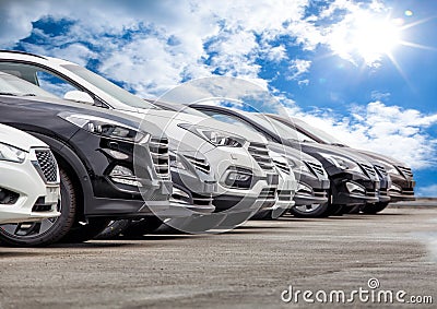 Cars For Sale Stock Lot Row Stock Photo