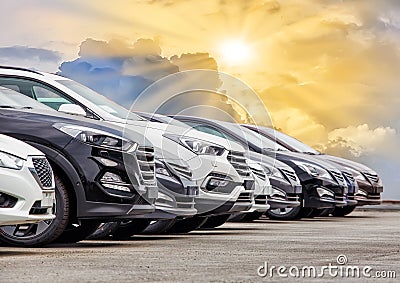 Cars For Sale Stock Lot Row Stock Photo