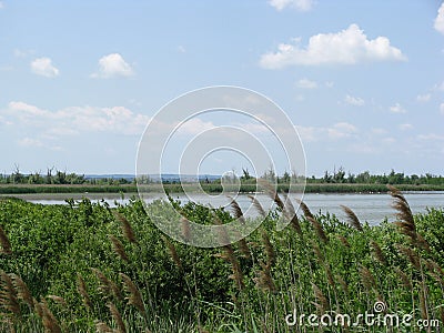 Carska bara in Vojvodina Stock Photo