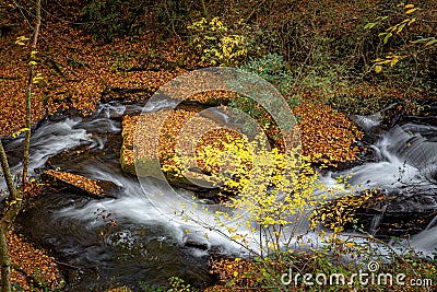 Carson Creek wanders through the autumn splendor in Pisgah Forest Stock Photo