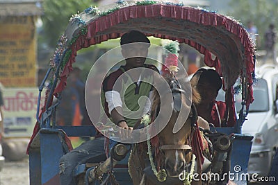 Cart driver with horse riding on the street in Nepal Editorial Stock Photo