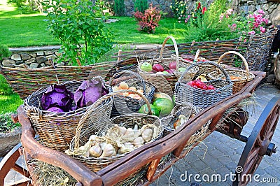 A cart with harvest of vegetables Stock Photo