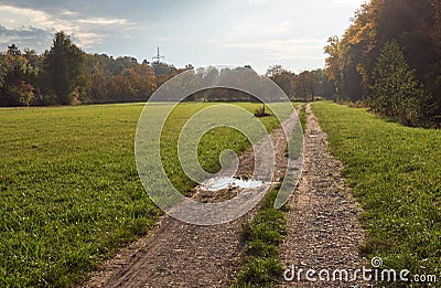 Cart road through autumn nature on a sunny day Stock Photo