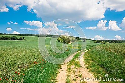 Cart road leading through colorful nature during spring Stock Photo