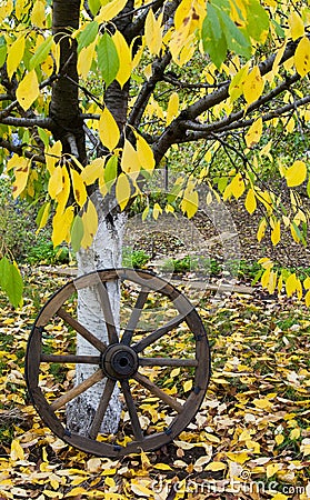 Cart wooden wheel Stock Photo