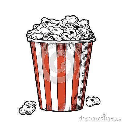 Carton bucket full popcorn. Vector black vintage engraving illustration Vector Illustration