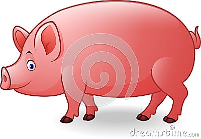 Cartoon adult pig Vector Illustration