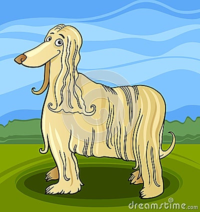 Cartoon afghan hound dog Vector Illustration