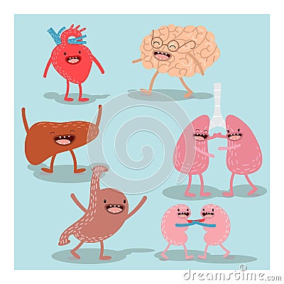 Cartoon anatomy, human organs. Vector set Vector Illustration