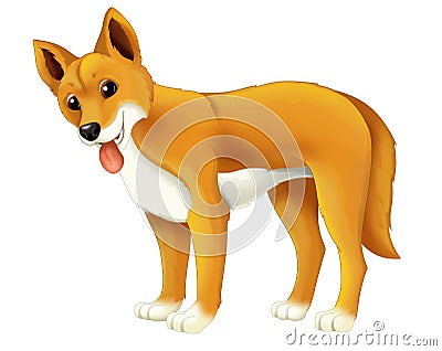 Cartoon animal dingo dog Cartoon Illustration