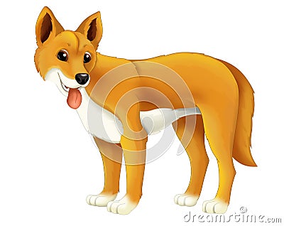 Cartoon animal dingo dog Cartoon Illustration