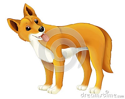 Cartoon animal dingo dog Cartoon Illustration