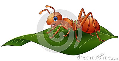 Cartoon ant on the leaf Vector Illustration