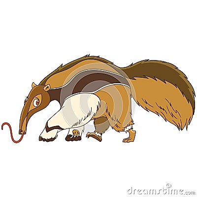 Cartoon anteater animal Vector Illustration